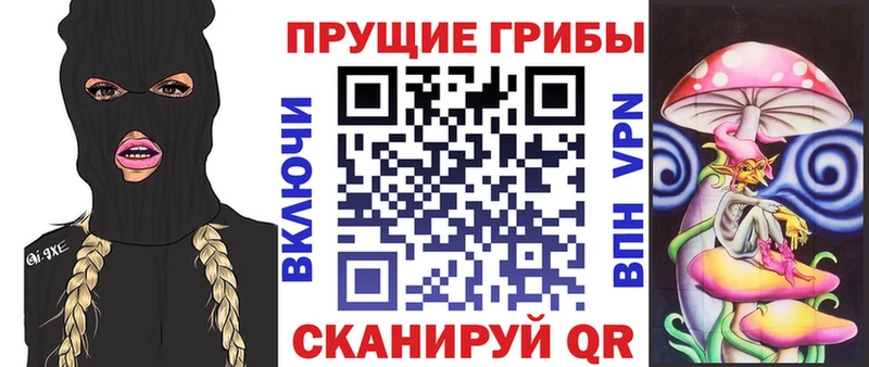 купить закладку Сычёвка Галлюциногенные грибы мухоморы